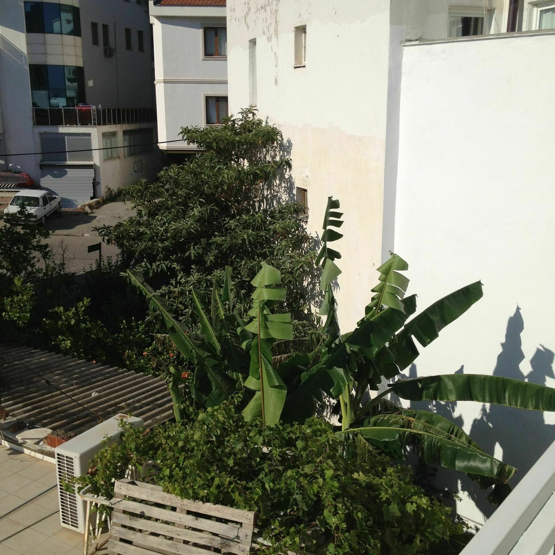 Apartment Ata *